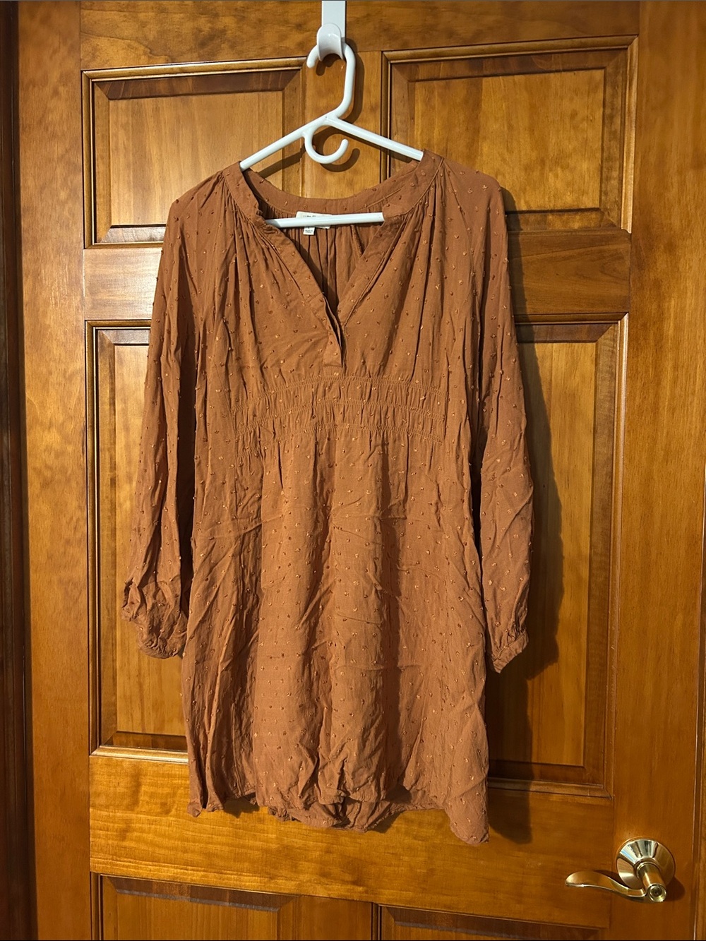Umgee Rust Textured V-Neck Tunic with Smocked Waist